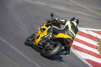 Lower Group Yellow Bikes